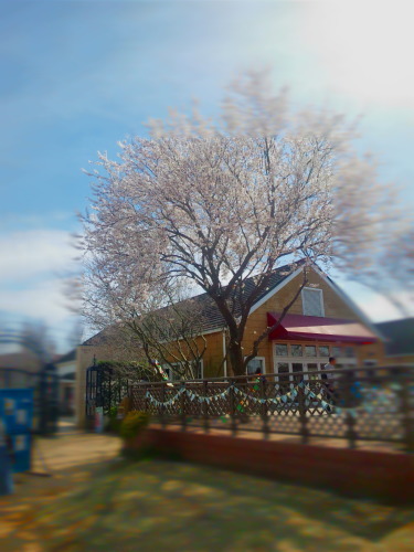 b0316503_00460039.jpg