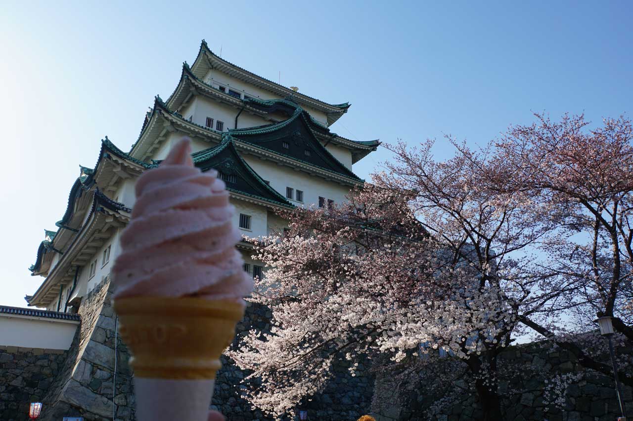 桜見物 at 名城公園_f0008005_19375650.jpg