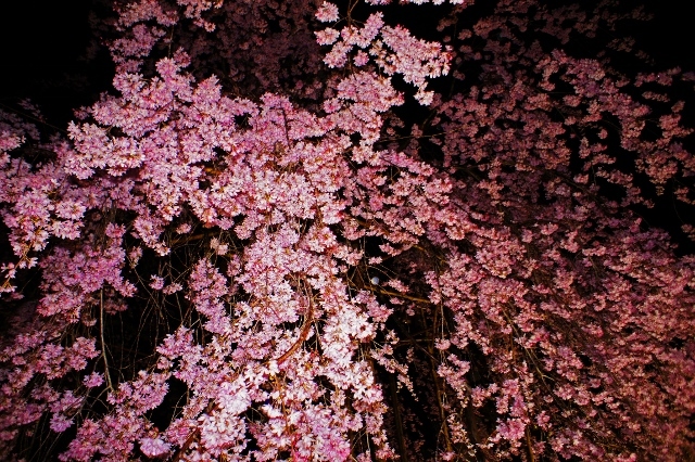 a0326310_11231080.jpg