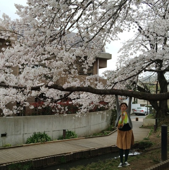 お花見第二弾_c0114110_17173184.jpg