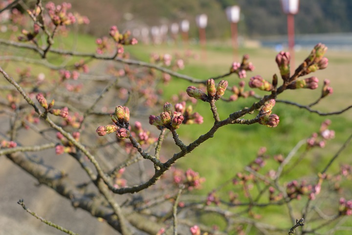 e0297512_0181097.jpg