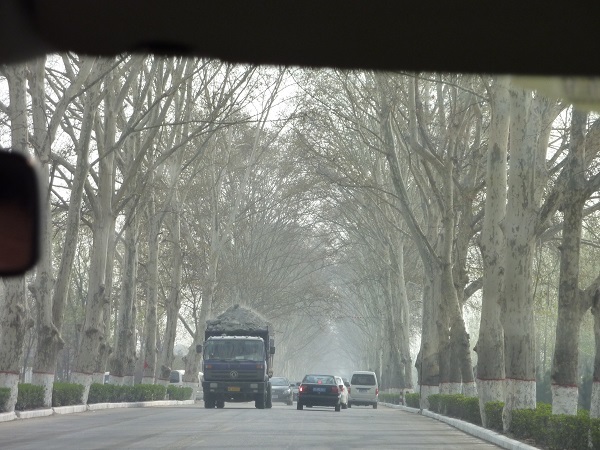 55．洛陽白馬寺 中国最初の仏教寺院 : 日本じゃ無名？の取って置きの