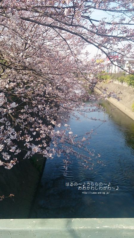 f0156117_11114337.jpg