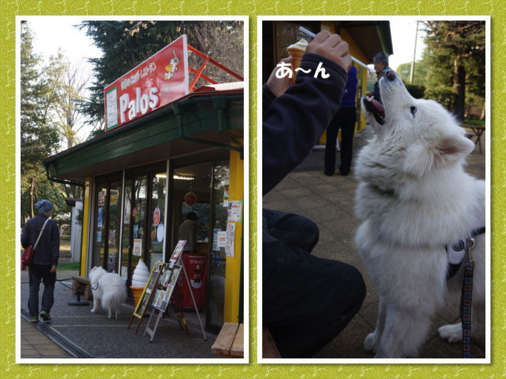 お花見はじめました♪_f0234023_05431905.jpg