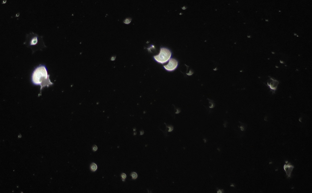 c0331825_03304826.jpg