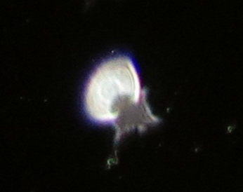 c0331825_03310849.jpg