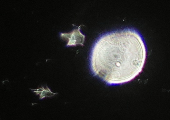 c0331825_03411482.jpg