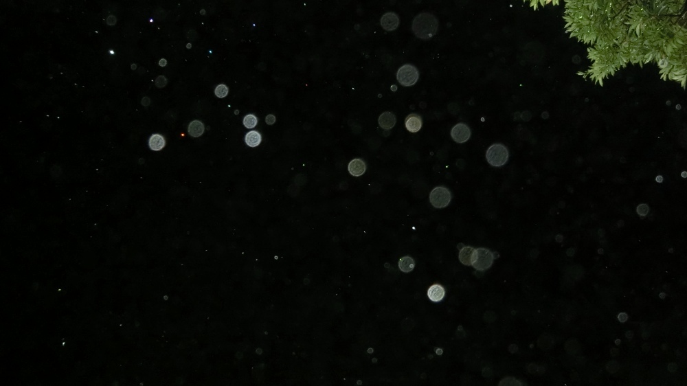 c0331825_10455479.jpg