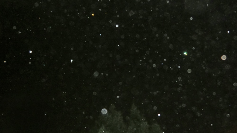 c0331825_10484328.jpg
