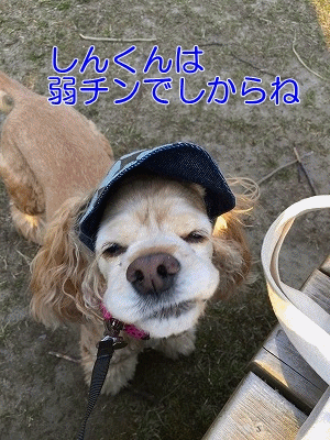 f0326925_00053418.gif