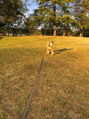 f0326925_22090720.gif