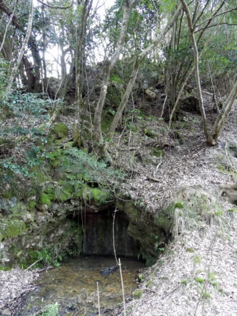 d0045626_00302733.jpg