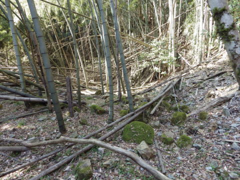 d0045626_00382852.jpg