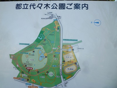 一族、代々木公園に行く_d0182026_13173542.jpg