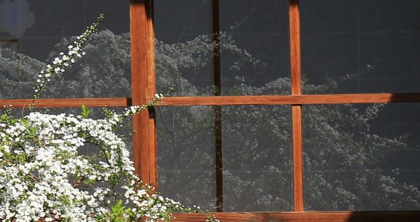 e0108126_933478.jpg