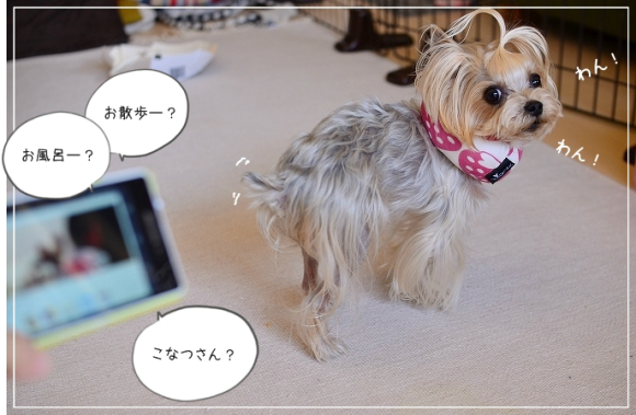 d0179828_09065179.png