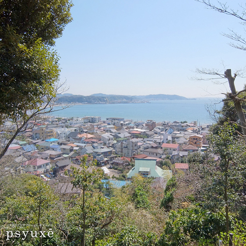 春のプチ旅行 鎌倉編_e0131432_11200797.jpg
