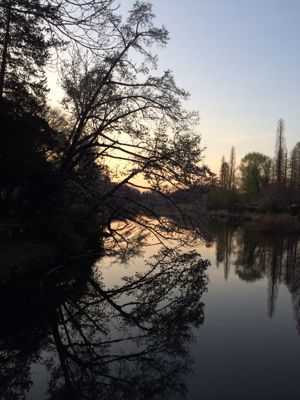 f0327534_1213431.jpg