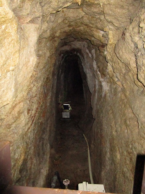 c0090236_22575433.jpg