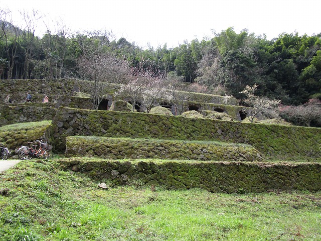 c0090236_2258751.jpg