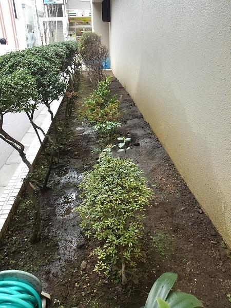 園芸係_d0152937_12073960.jpg