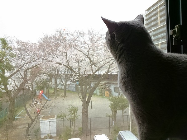 園芸係_d0152937_12074918.jpg