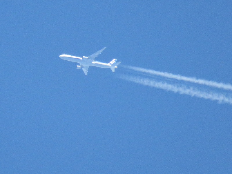 b0288942_2314289.jpg