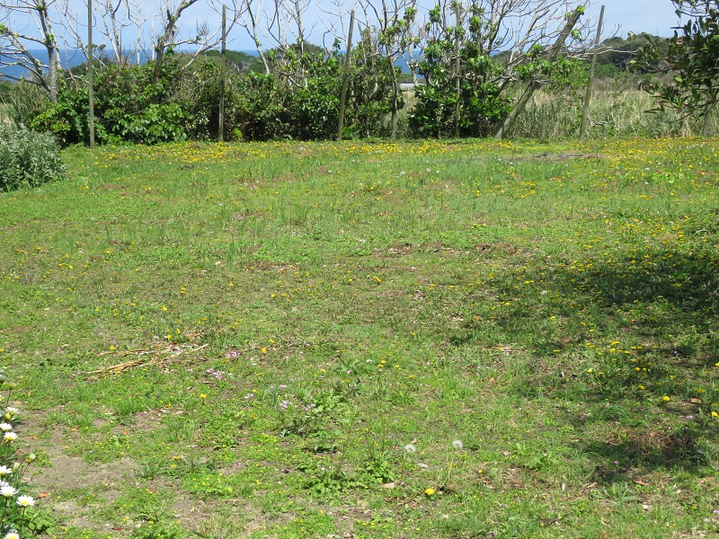 b0288942_23171077.jpg