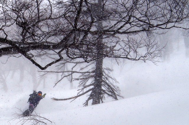 【滑走レポ　2015.3.24】 3月下旬の大雪　1ロマ運行だけど楽しんじゃいます！＠かぐら_e0037849_17551819.jpg