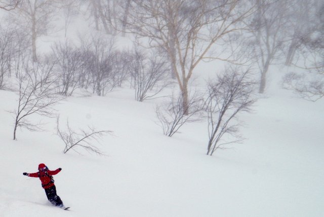 【滑走レポ　2015.3.24】 3月下旬の大雪　1ロマ運行だけど楽しんじゃいます！＠かぐら_e0037849_1756255.jpg