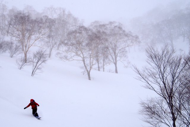 【滑走レポ　2015.3.24】 3月下旬の大雪　1ロマ運行だけど楽しんじゃいます！＠かぐら_e0037849_17563434.jpg