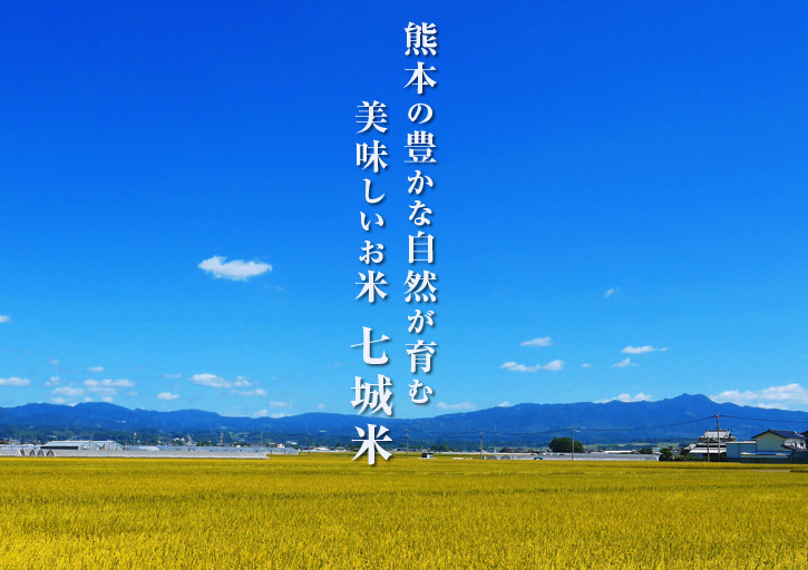 七城米 長尾農園 「天地返し」で深くまで強い根をはる田んぼ作り!_a0254656_1838575.jpg
