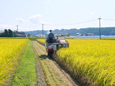 七城米 長尾農園 「天地返し」で深くまで強い根をはる田んぼ作り!_a0254656_18574034.jpg
