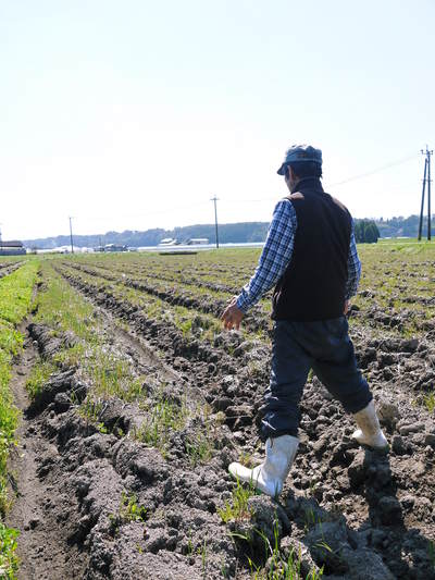 七城米 長尾農園 「天地返し」で深くまで強い根をはる田んぼ作り!_a0254656_19462611.jpg