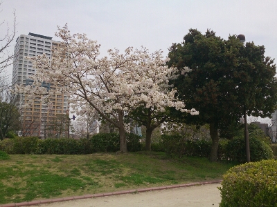 a0164657_22122095.jpg