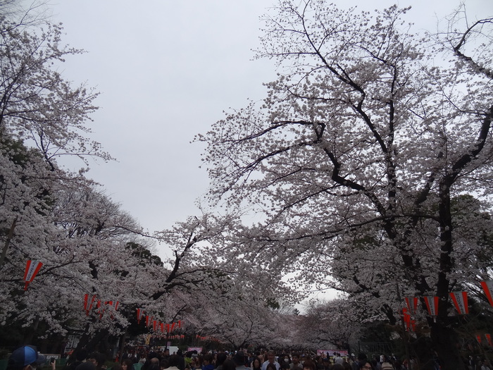 f0036857_21175871.jpg