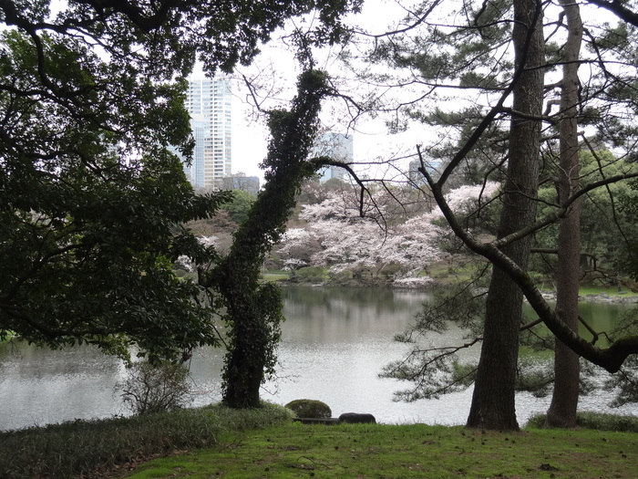 f0036857_2138041.jpg