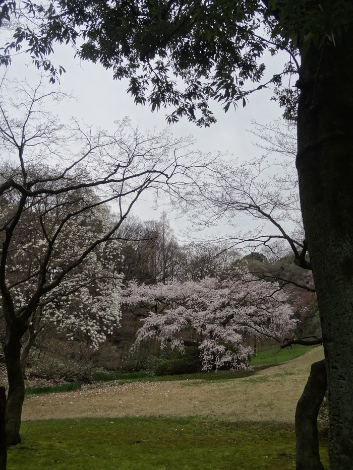 f0036857_2235271.jpg