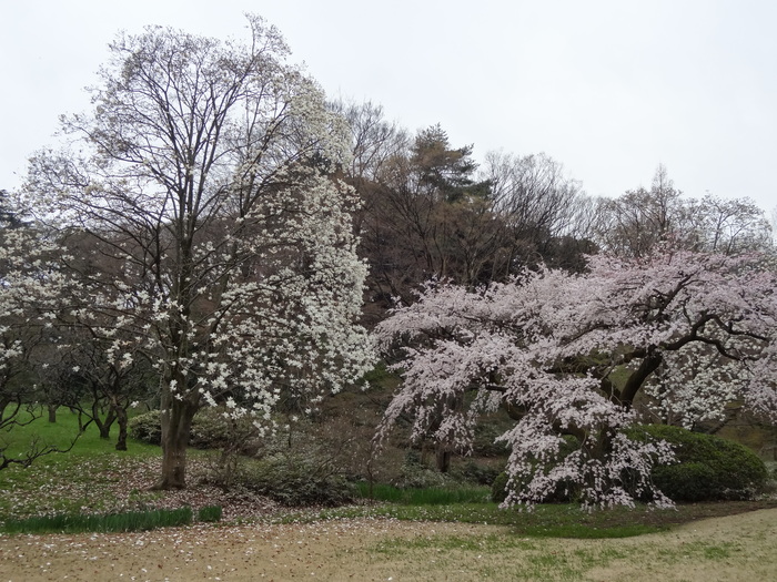 f0036857_2274086.jpg