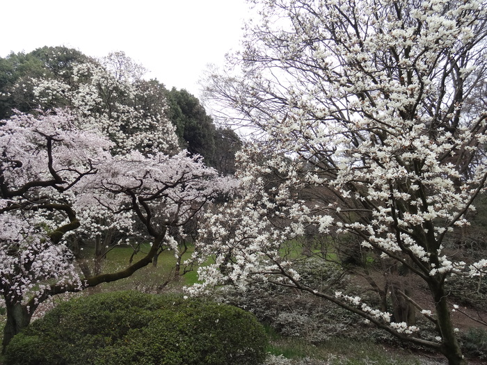 f0036857_2293163.jpg
