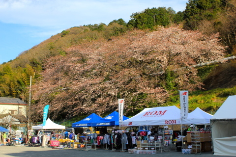 a0248459_19065627.jpg