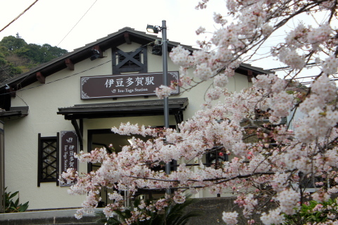 a0248459_19092055.jpg