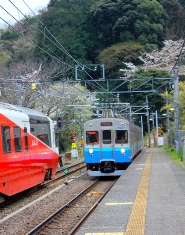 a0248459_19150875.jpg