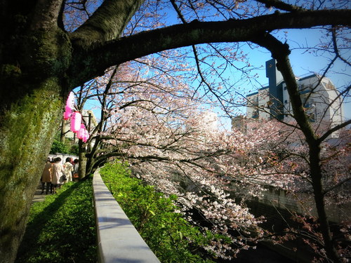 2015・お花見☆ホテル椿山荘東京～江戸川公園_f0236260_0382044.jpg