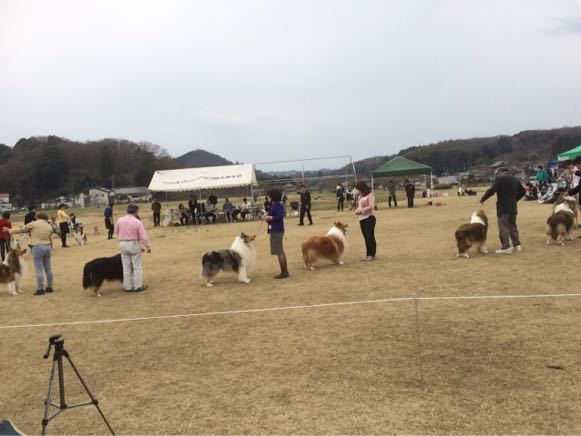 栃木展_f0126965_22251922.jpg