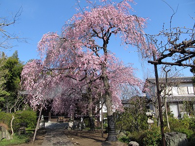 f0192270_15164939.jpg