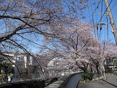 f0192270_15384465.jpg