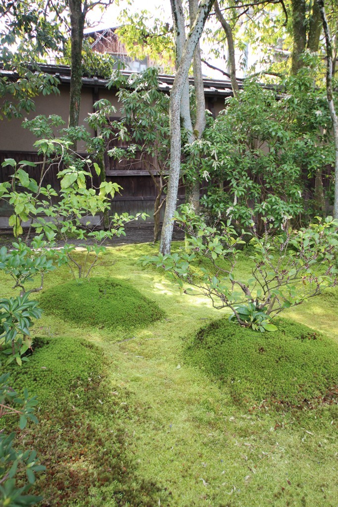 無鄰菴(むりんあん)_c0310571_19545944.jpg