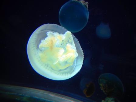 e0322871_2317522.jpg