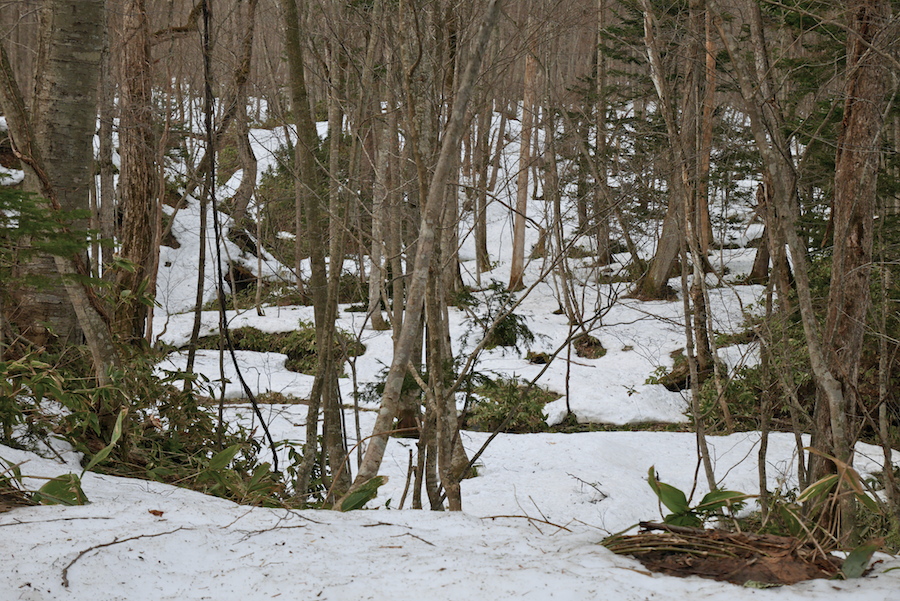 b0068572_22123879.jpg